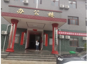 云南我公司与唐井爆矿合作
